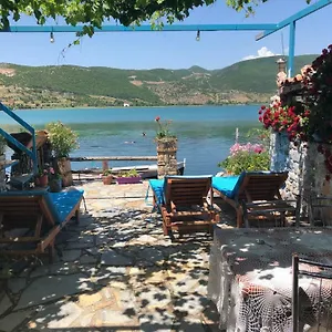  B&B Rosa Albania