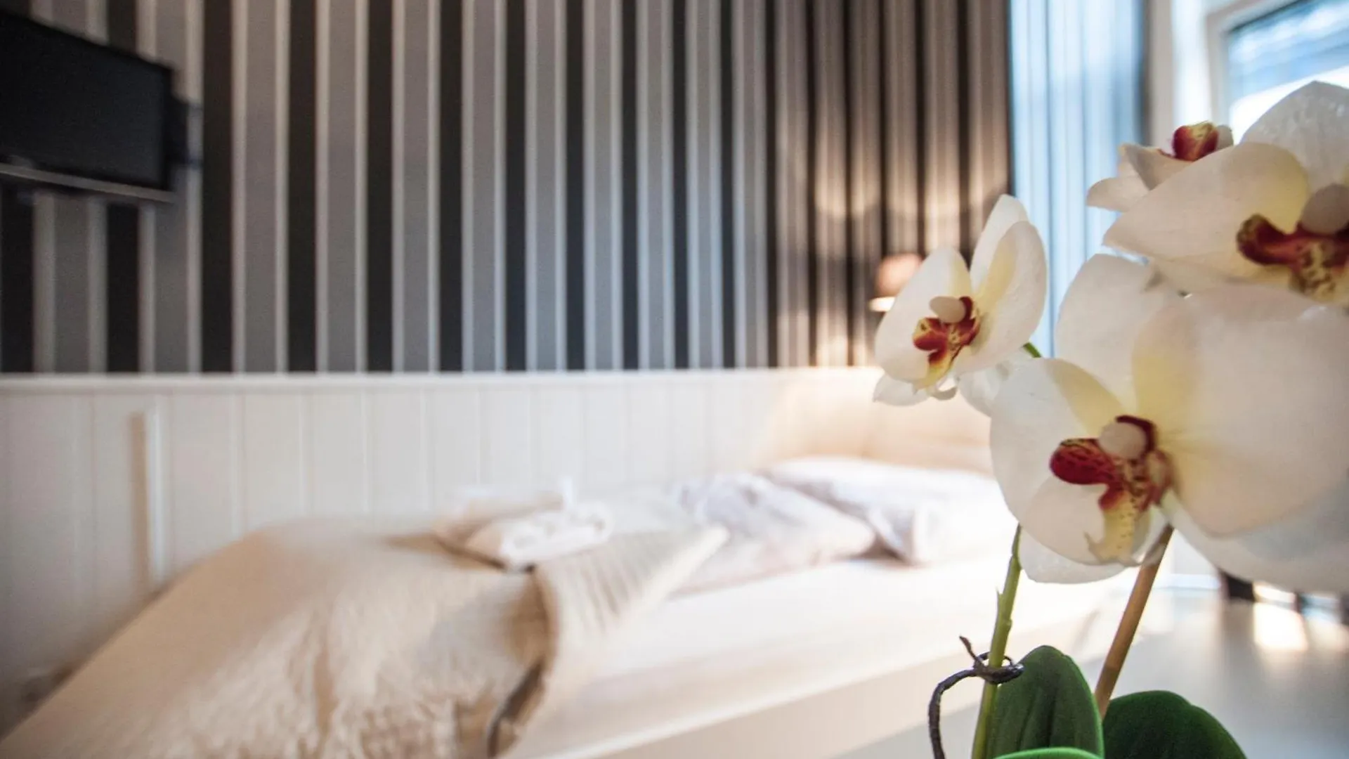 **  Urban Boutique Hotel Viyana Avusturya